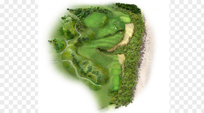 Golf Augusta National Club Masters Tournament Par Clubs PNG