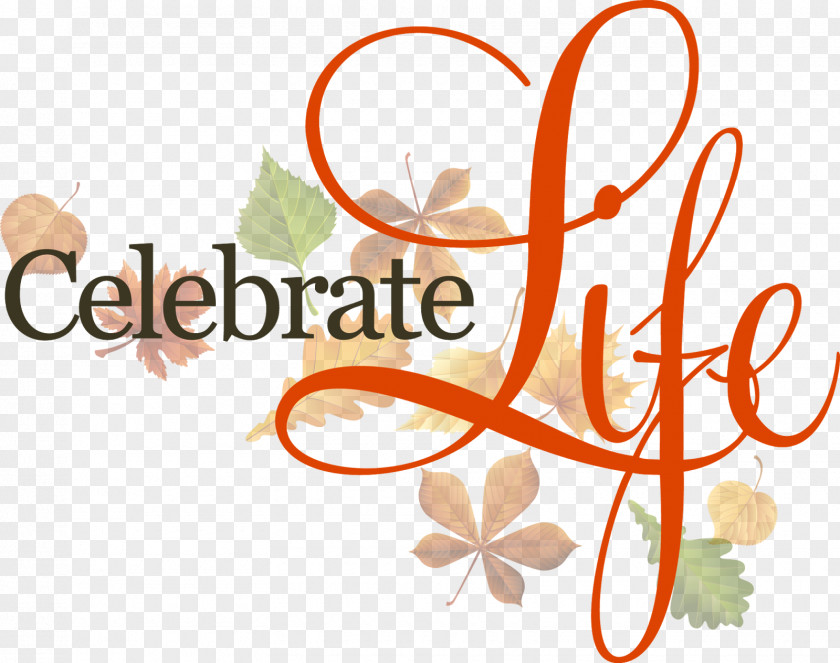 Life Celebrate Banquet Quotation Death Anti-abortion Movements PNG