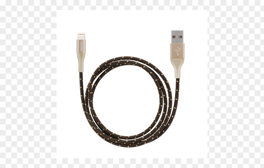 Lightning Electrical Cable USB Adapter Aluminium PNG