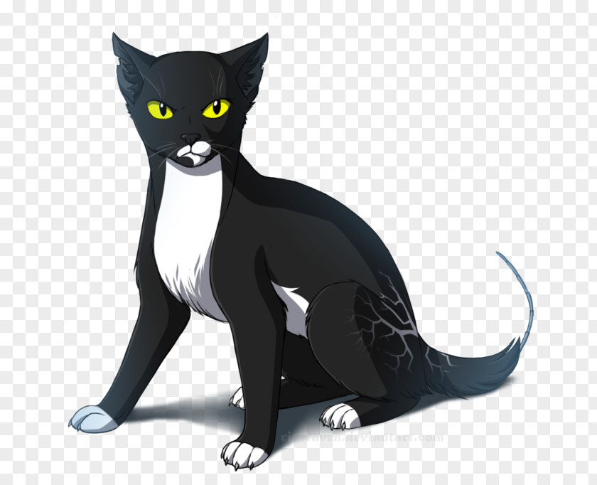Shading Decoration Whiskers Domestic Short-haired Cat Black Cartoon PNG