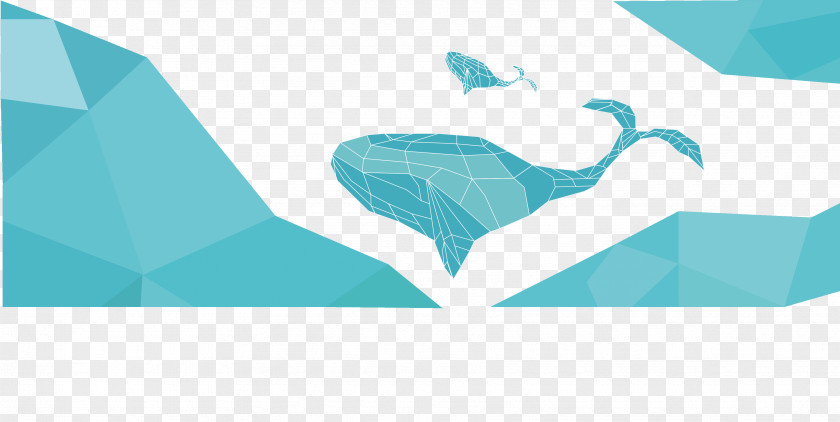 Whale Vector Material Euclidean Blue PNG