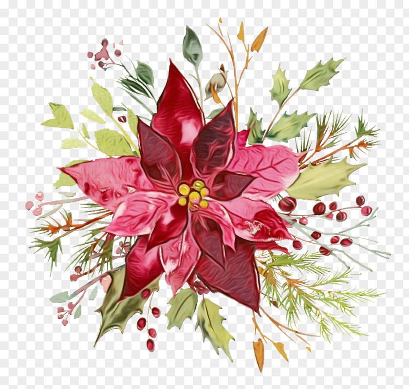 Bouquet Cut Flowers Flower Plant Pink Poinsettia Leaf PNG