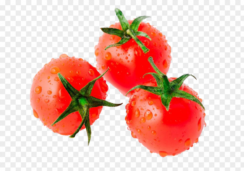 Fresh Tomatoes Tomato Juice Cherry Vegetable Auglis Food PNG