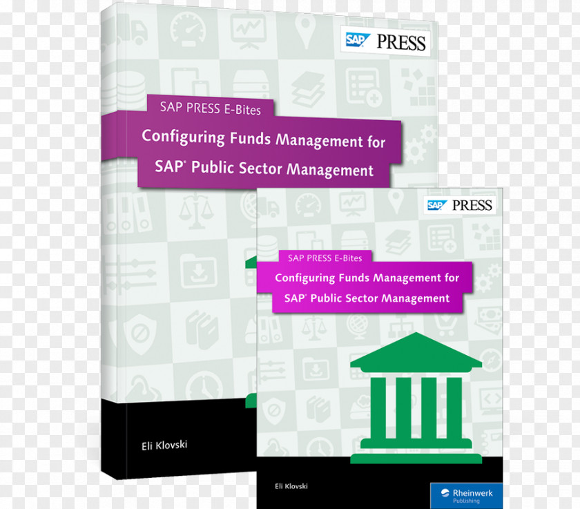 Government Sector SAP SE HANA S/4HANA ERP Computer Software PNG