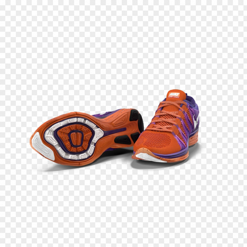 Nike Fly To The Moon Free Shoe Sneakers Sportswear PNG