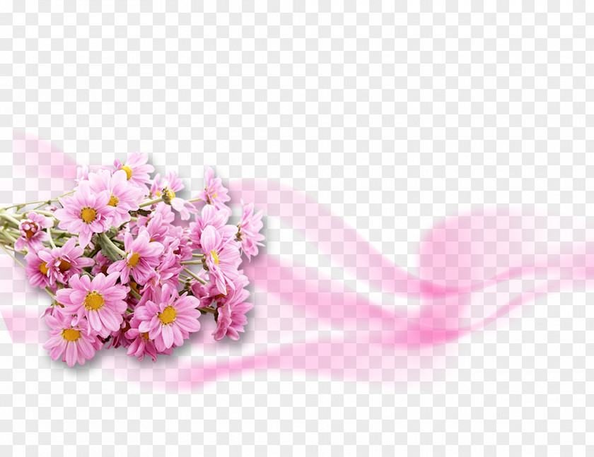 Pink Gerbera PSD Material Flower Chrysanthemum Wallpaper PNG