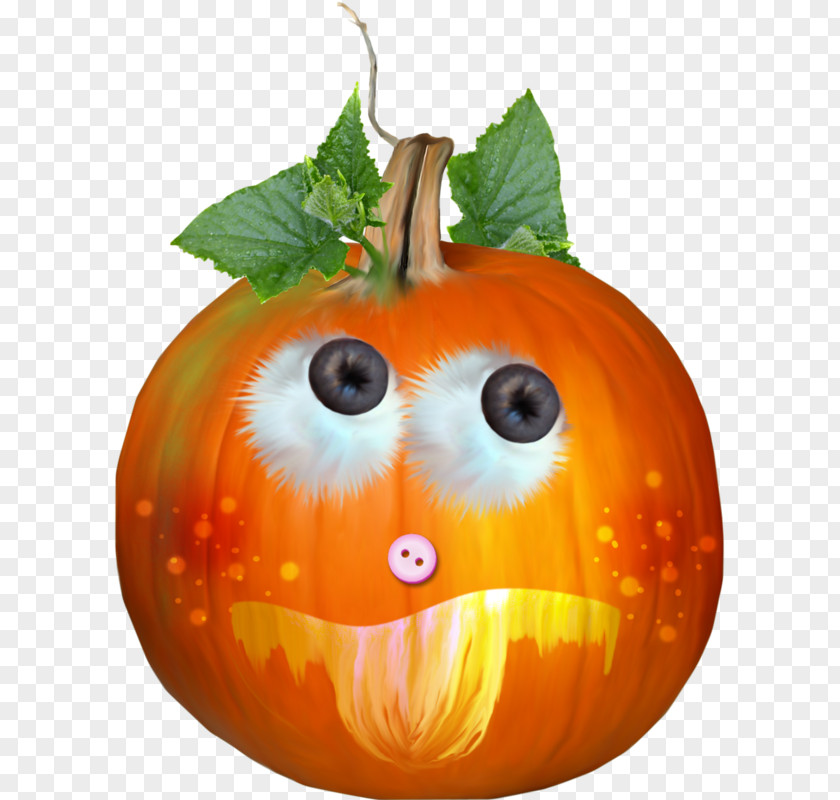 Pumpkin Jack-o'-lantern Gourd Halloween Winter Squash PNG