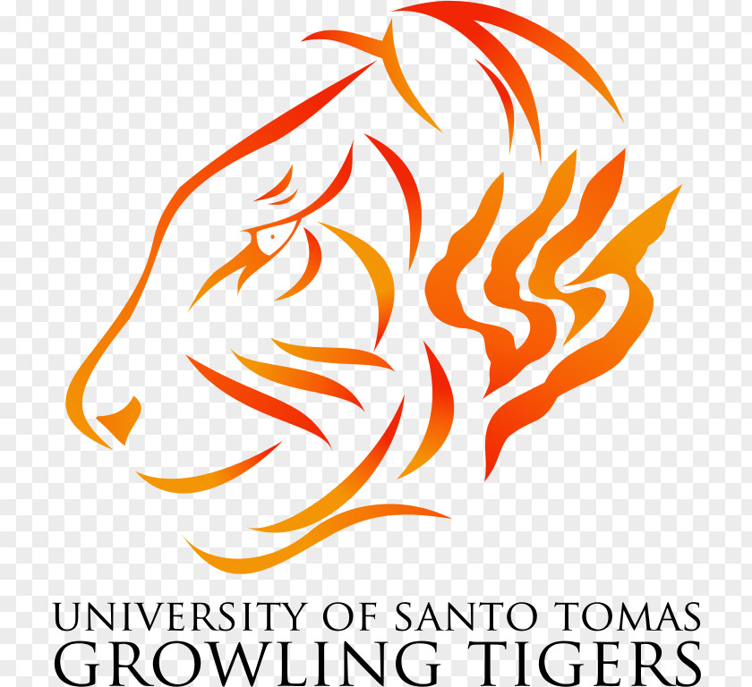 Tiger University Of Santo Tomas UST Growling Tigers Men's Basketball Drawing PNG