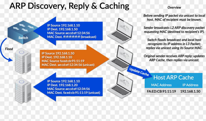 Address Resolution Protocol Internet IP ARP Spoofing Local Area Network PNG