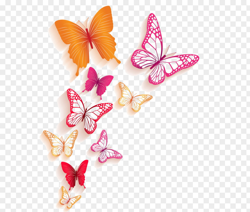 Butterfly Monarch Insect PNG