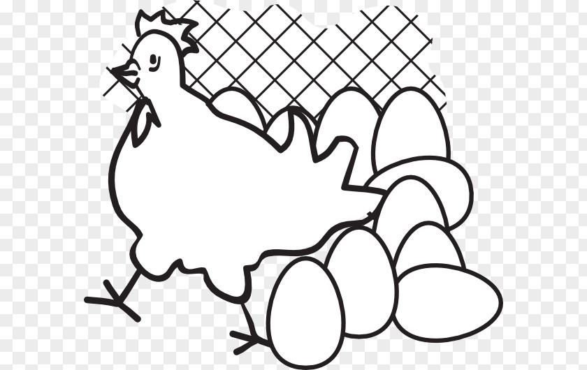 By Laying Hens Chicken Egg Carton Clip Art PNG