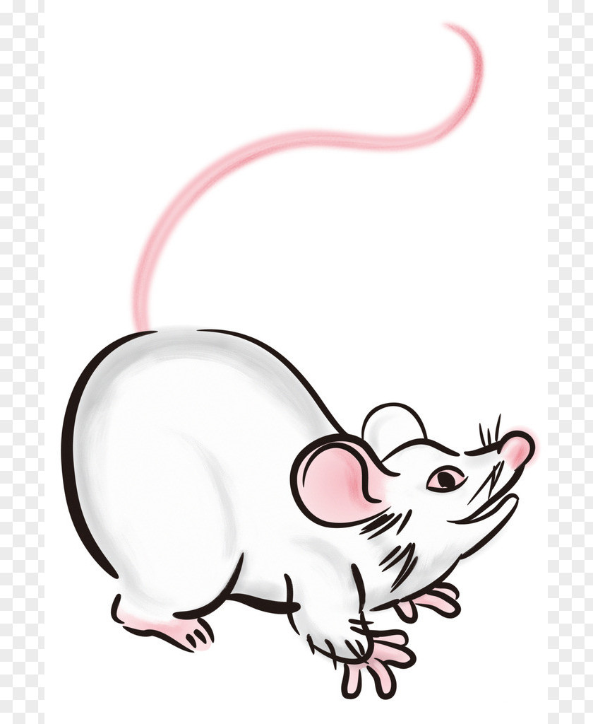 Color Mouse Chinese Zodiac Rat Muroids Hamster Earthly Branches PNG