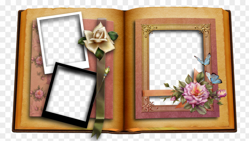 Decor Picture Frames Image Photography Design PNG