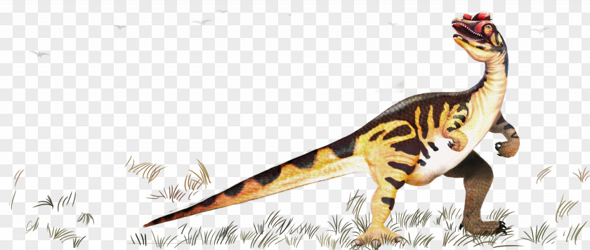 Dinosaur Pattern Velociraptor Tyrannosaurus Prehistory PNG