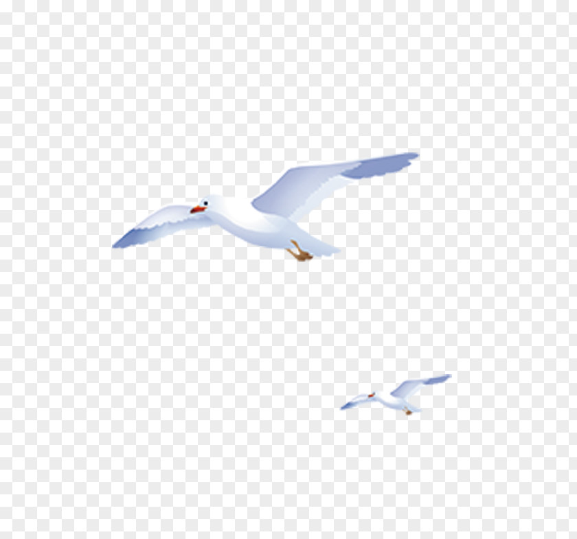 Flying Geese Sky Blue And White Hand-painted Flight European Herring Gull PNG