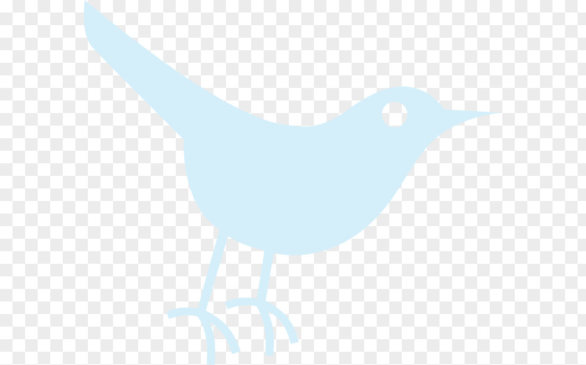 Twitter Cliparts Paper Beak Illustration PNG