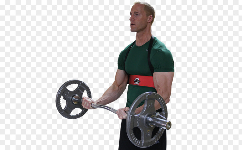 Barbell Biceps Physical Fitness Bodybuilding Shoulder PNG