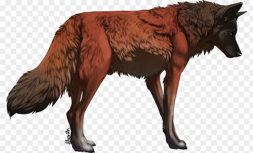 Dog Red Wolf Basior Pack Dhole PNG