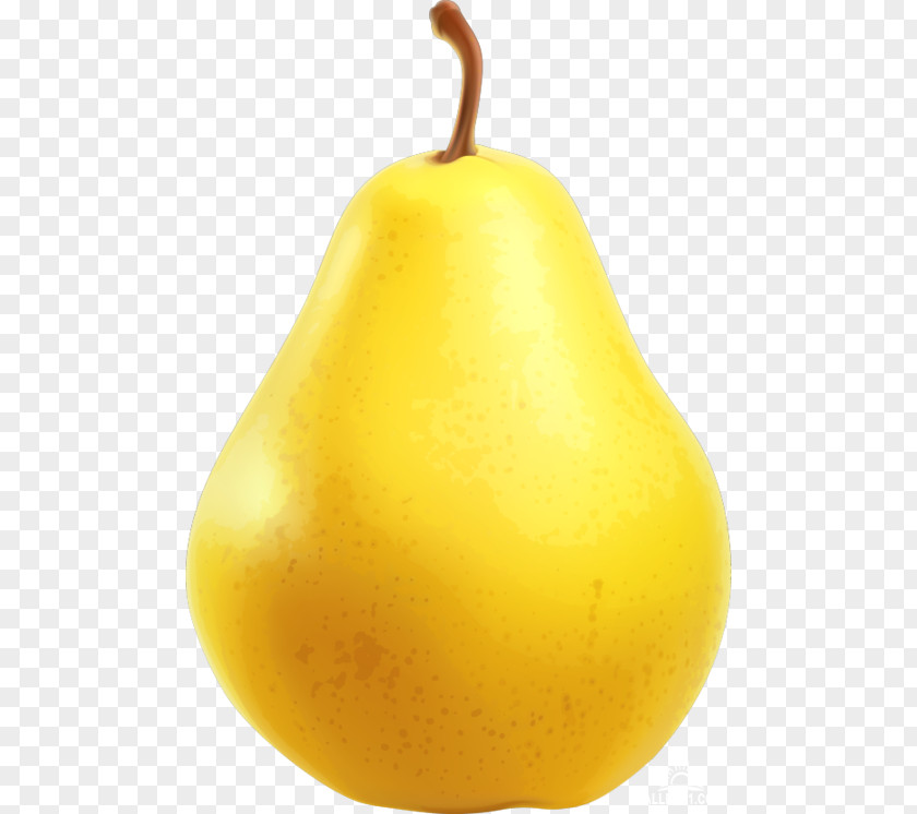 Pear Crisp Tomato Clip Art PNG