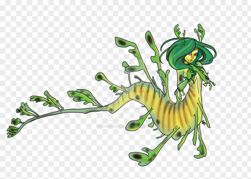 Sea Dragon Leafy Seadragon Common Syngnathidae PNG