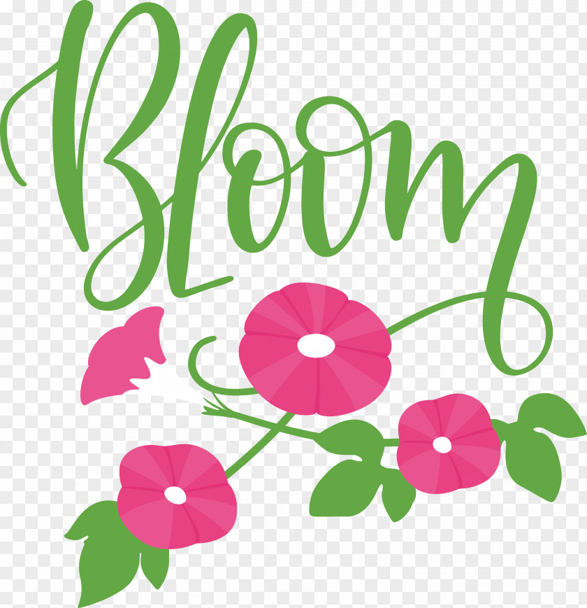 Bloom Spring PNG