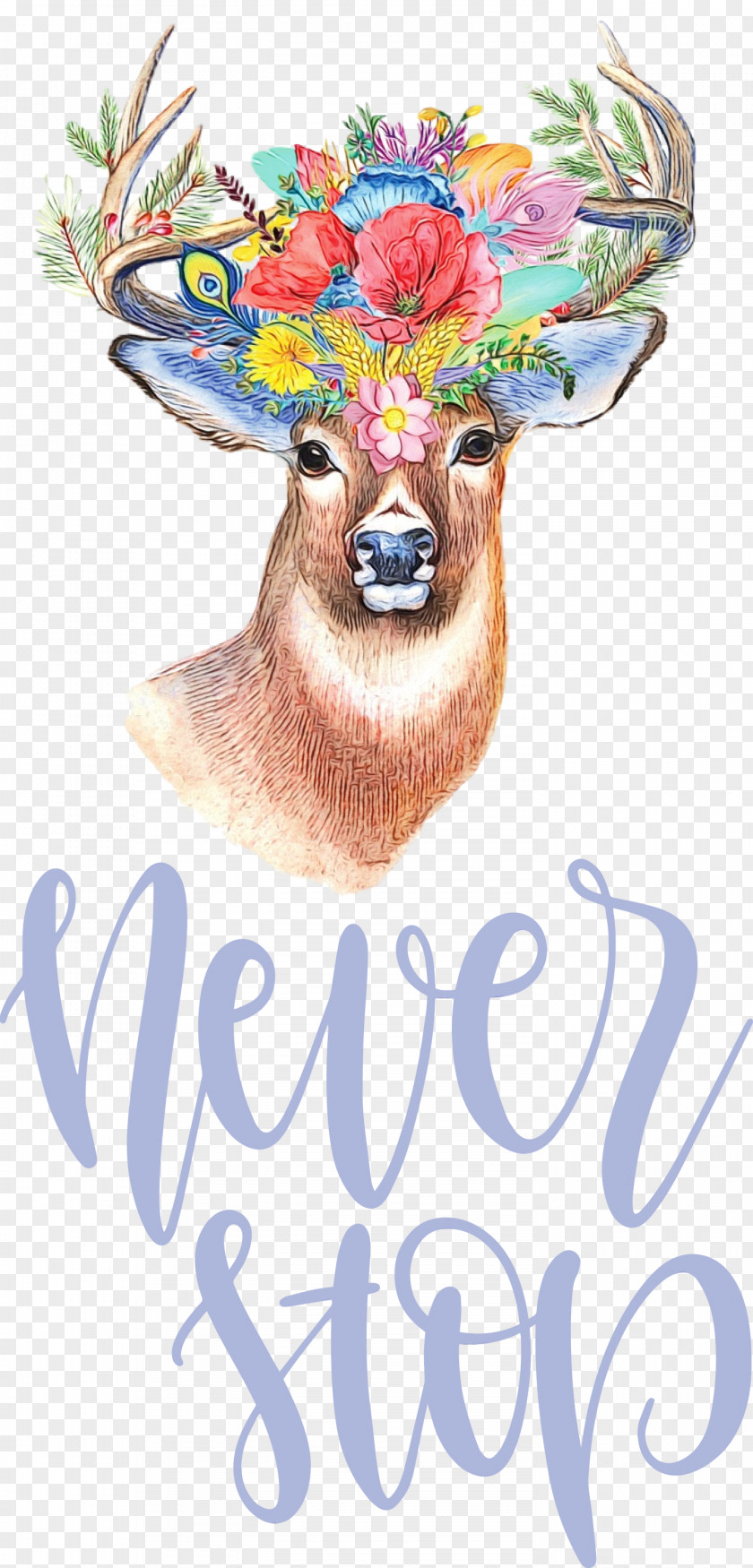Deer Painting Paint By Number Antler Art Print PNG