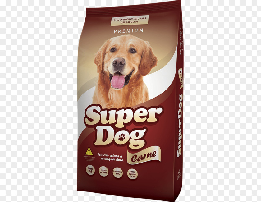 Golden Retriever Puppy Dog Breed Companion Food PNG