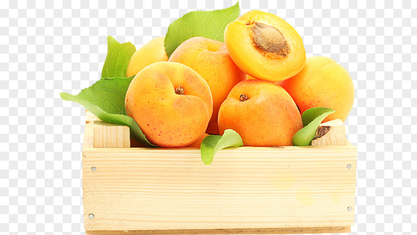 Good Night Fruit Apricot Food Persimmon Desktop Wallpaper PNG