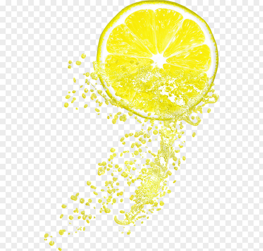 Lemon Lemon-lime Drink Juice Lemonade Citrus Junos PNG