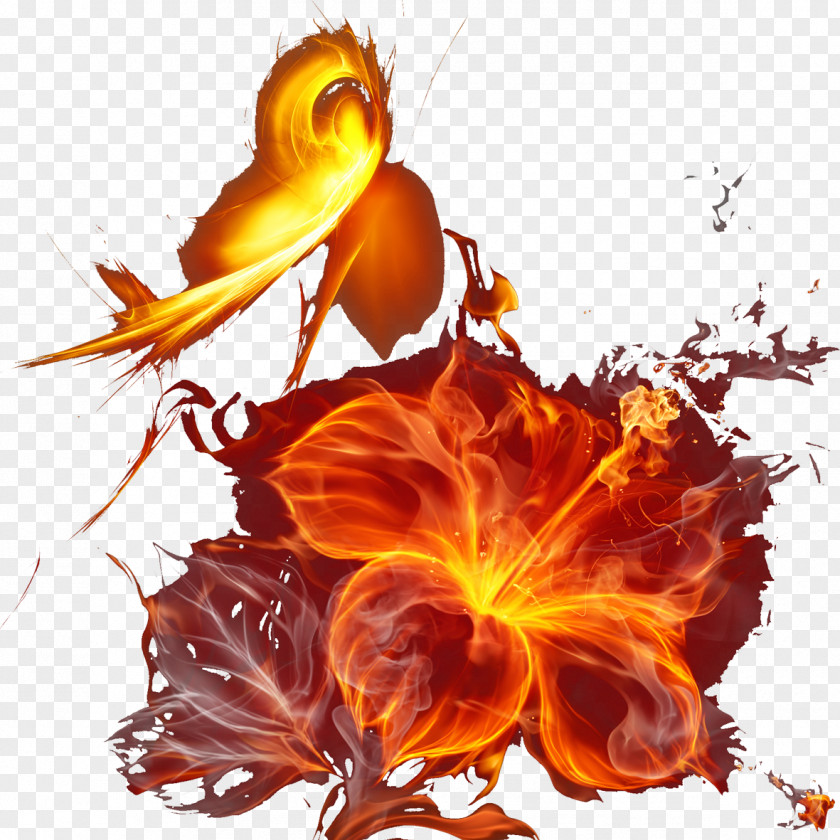 Red Flames Petal Desktop Wallpaper Botany Illustration PNG