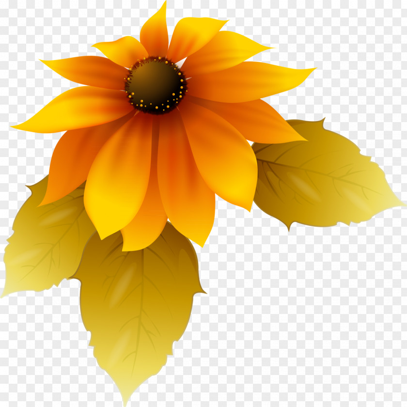 Sunflower Cartoon Flower Yellow Petal Adobe Photoshop PNG