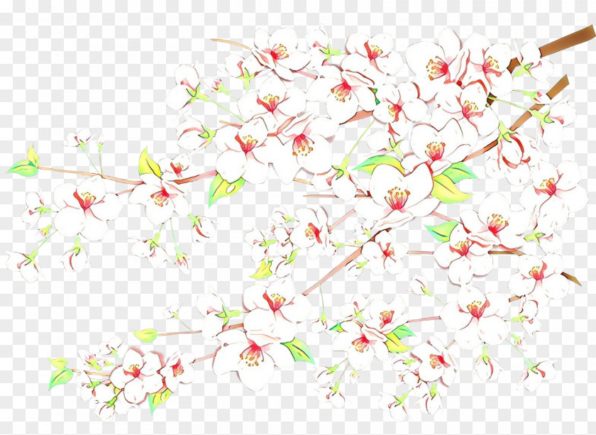 Twig Branch Cherry Blossom Background PNG