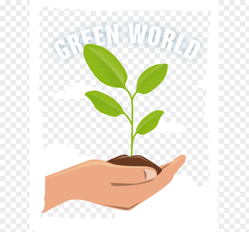 Vector Green Earth Leaf Finger Plant Stem Alternative Health Services Clip Art PNG
