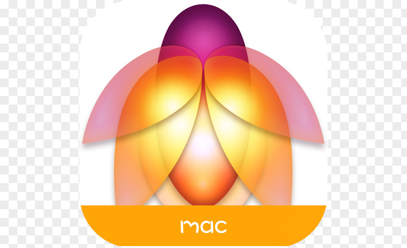 Apple Macintosh App Store MacOS PNG
