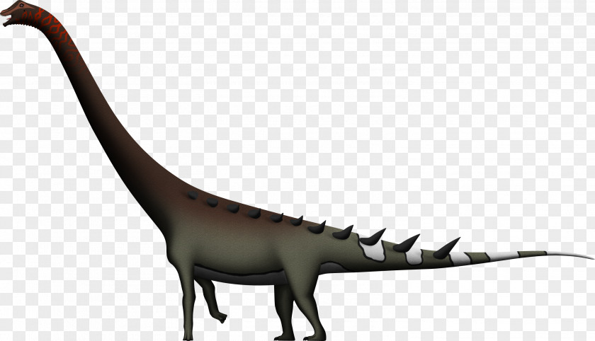 Dinosaur Argentinosaurus Xinghesaurus Velociraptor DeviantArt PNG
