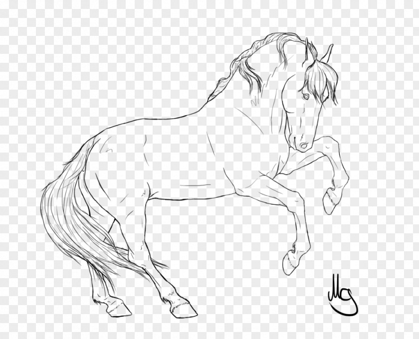 Horse Wild Drawing Line Art Pencil PNG