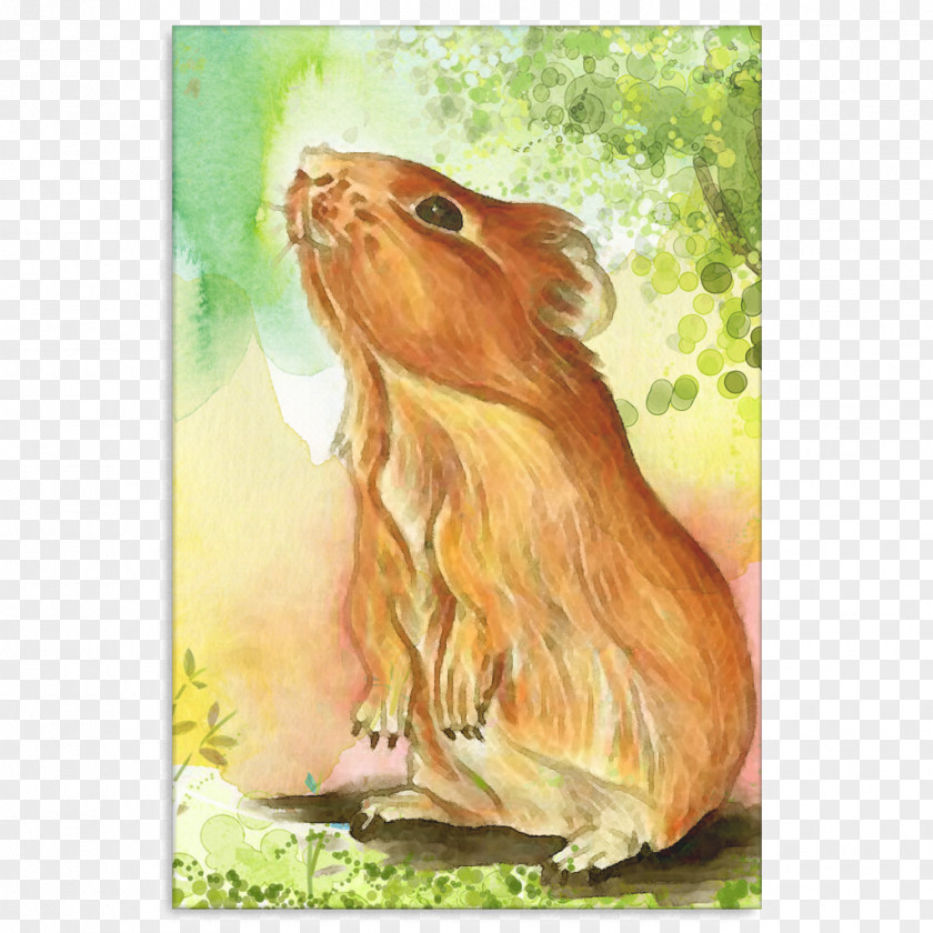 Painting Guinea Pig Watercolor Hare PNG