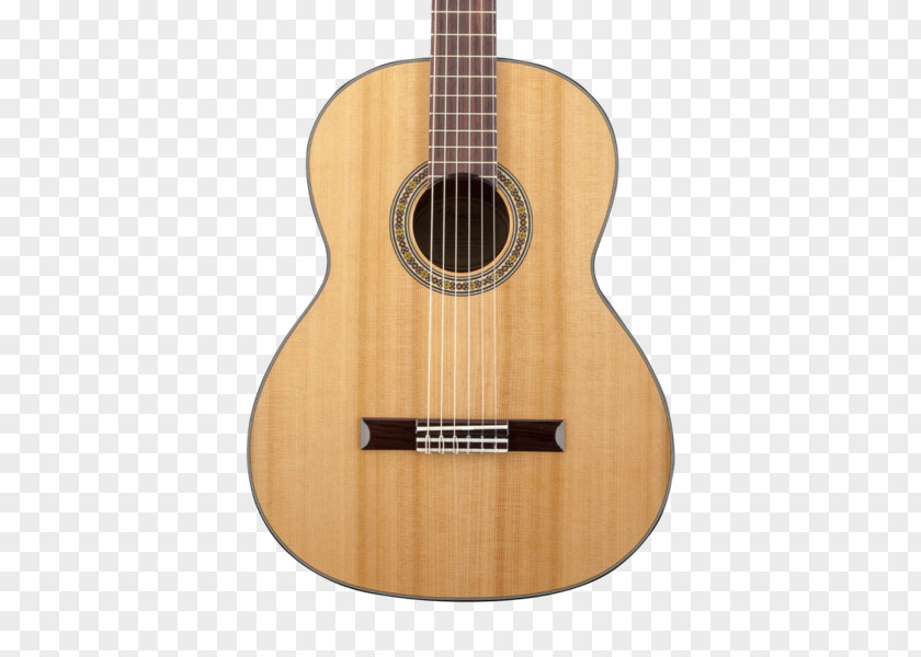 Acoustic Gig Guitar Bass Tiple Acoustic-electric Cuatro PNG