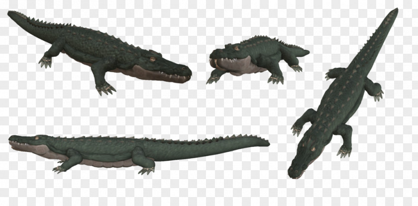 Crocodile Tyrannosaurus Crocodiles Alligator Saltwater PNG
