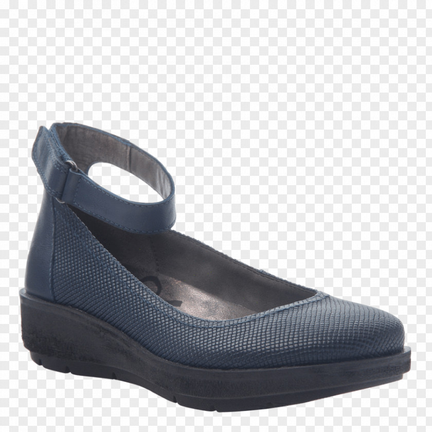 Flat Footwear Ballet Shoe S.C.A.M.P.E.R Wedge PNG