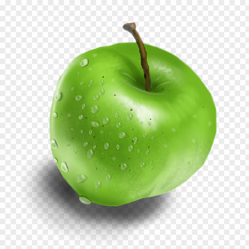 GREEN APPLE Food Cranberry Juice Apple Dietary Fiber Granny Smith PNG