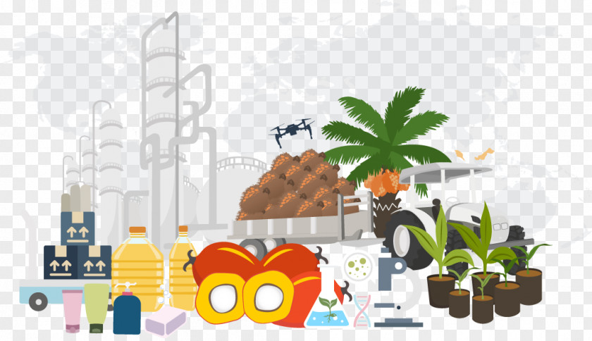 Oil Palm Kernel Vector Graphics Illustration Image Shutterstock PNG