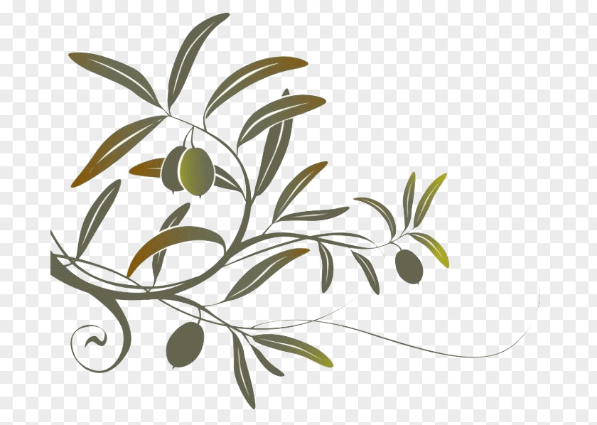 Olive Branch Wall Decal PNG