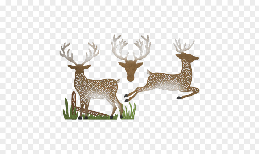 Reindeer Cheery Lynn Designs Antler White-tailed Deer PNG