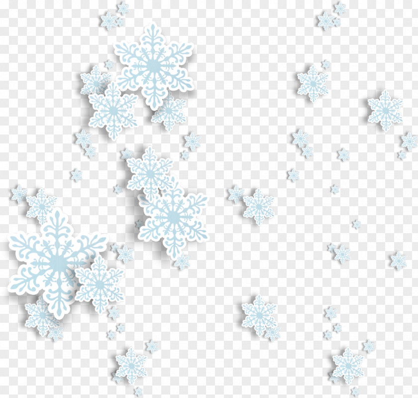 Snowflakes Snowflake Design Seeds Crystal Winter PNG