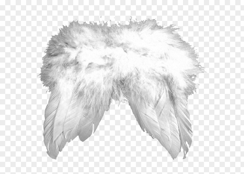 Ailes Fur Character White Fiction PNG