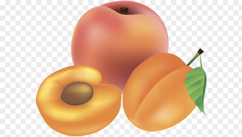 Apricot Fruit Berry Food PNG