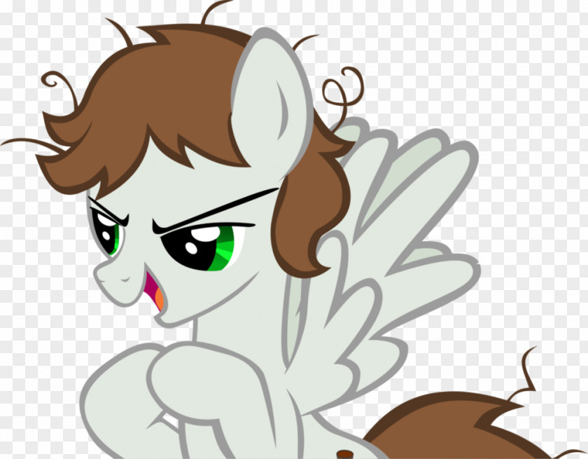 Cat Pony Horse Clip Art PNG