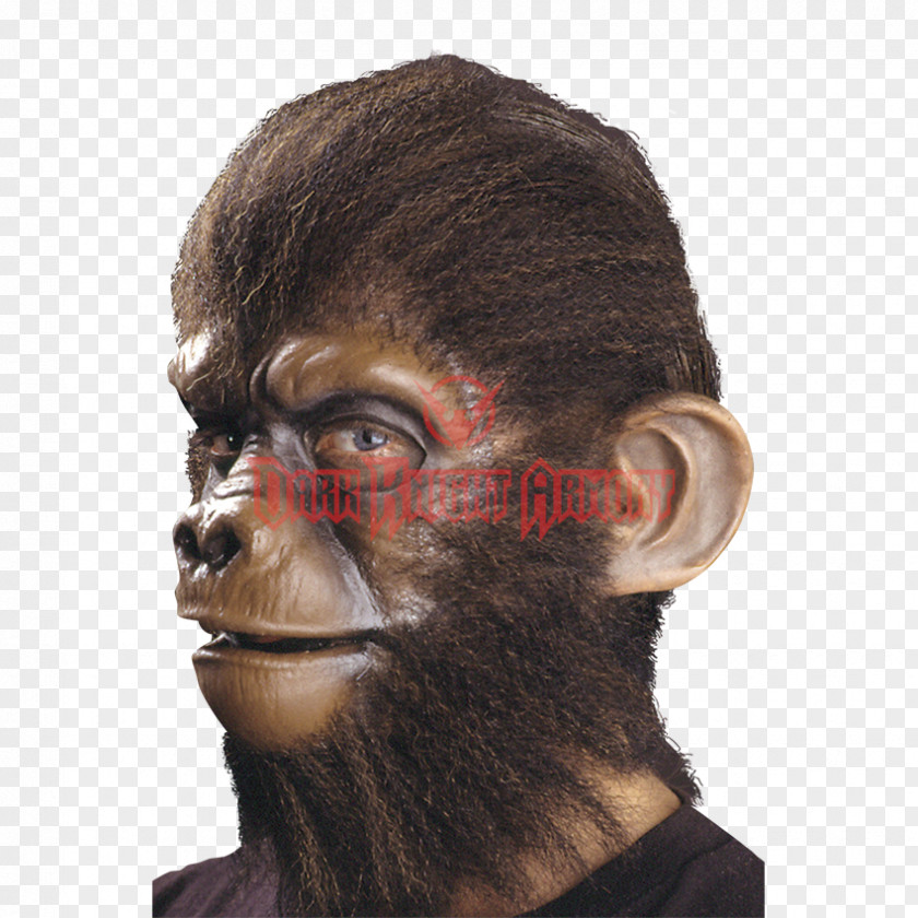 Ear Simian Monkey Chimpanzee Prosthesis PNG
