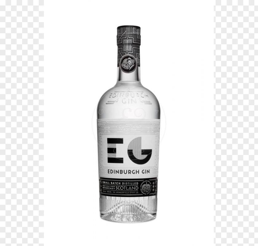 Gin Taare Distilled Beverage Elderflower Cordial Liqueur Whiskey PNG